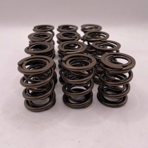 Race Valve Spring Set TR5/6